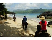 Horseback Riding on untamed beaches
